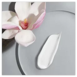 NIVEA Hyaluron Cellular Filler Anti-age Day Cream SPF15 Dagcrème Gezicht, Nek 50 ml zalfje