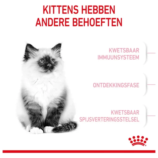 Royal Canin Kitten - Kattenvoer - 2 kg