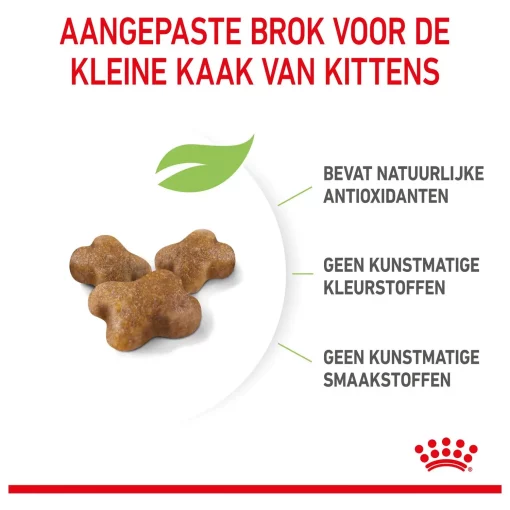 Royal Canin Kitten - Kattenvoer - 400 gram