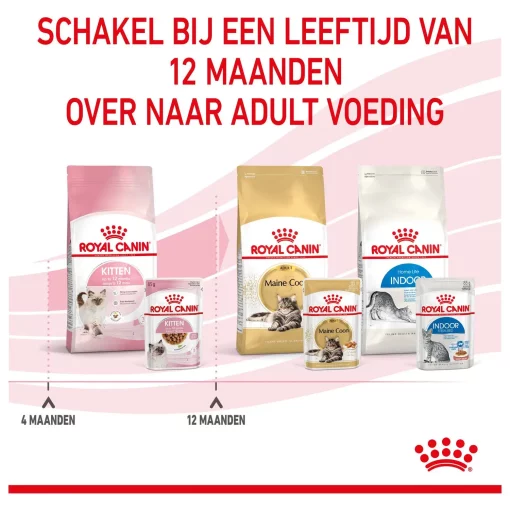 Royal Canin Kitten In Gravy - Kattenvoer 12 x 85 gram