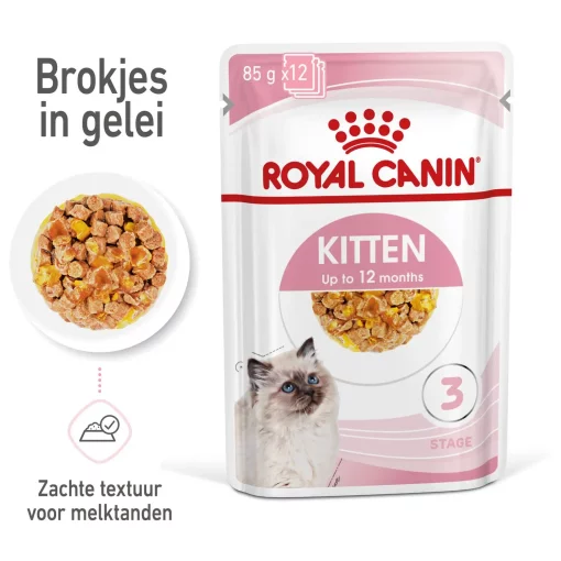 Royal Canin Kitten Portie Jelly - Kattenvoer 12 x 85 gram