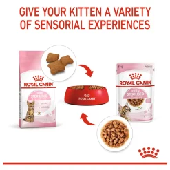 Royal Canin Kitten Sterilised Gravy - Kattenvoer 12 x 85 gram