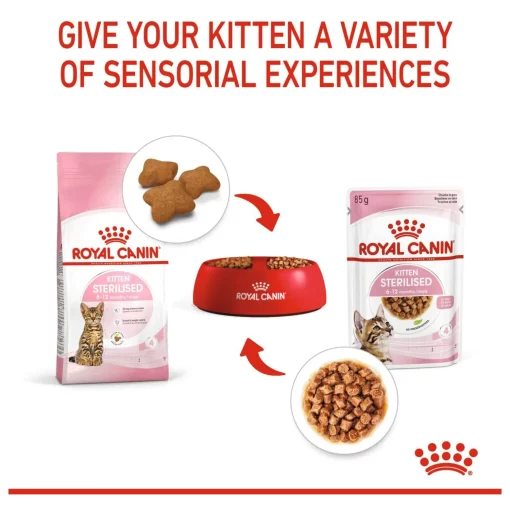 Royal Canin Kitten Sterilised Gravy - Kattenvoer 12 x 85 gram