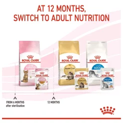 Royal Canin Kitten Sterilised Jelly - Kattenvoer 12 x 85 gram