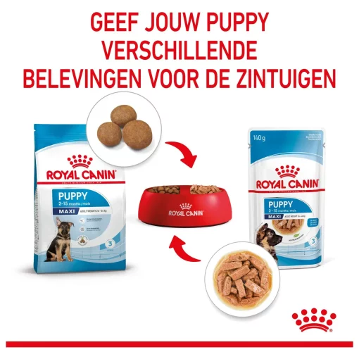 Royal Canin Maxi Puppy Hondenvoer 10 x 140 gram