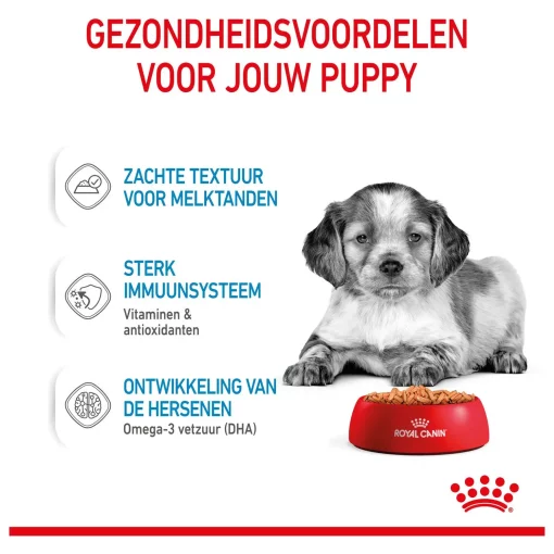 Royal Canin Medium Puppy Hondenvoer 10 x 140 gram