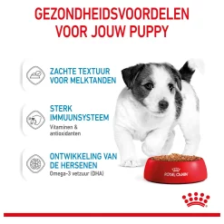 Royal Canin Mini Puppy Hondenvoer 12 x 85 gram