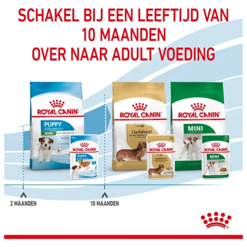 Royal Canin Mini Puppy Hondenvoer 12 x 85 gram