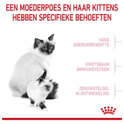 Royal Canin Mother en Babycat Kattenvoer 2 kg