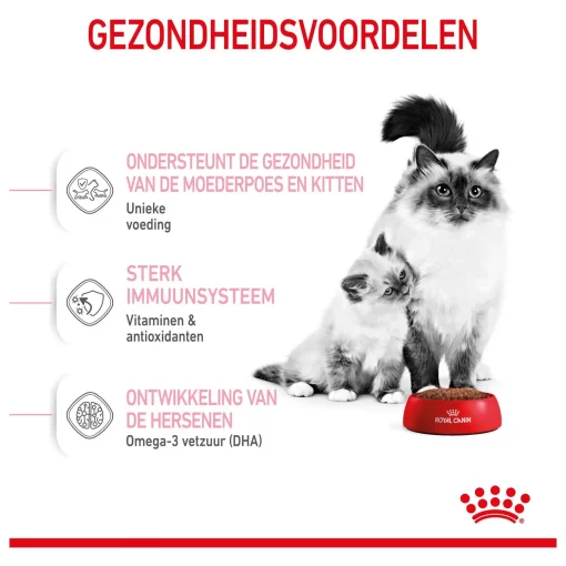 Royal Canin Mother en Babycat Kattenvoer 2 kg