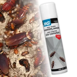 HGX Tegen Kakkerlakken (400ml) Effectieve en Geurloze Spray