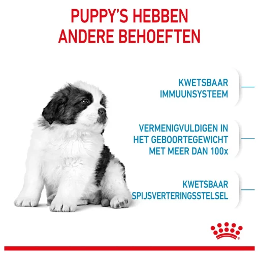 Royal Canin Giant Puppy 3.5 kg Voeding voor grote rassen