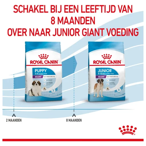 Royal Canin Giant Puppy 3.5 kg Voeding voor grote rassen