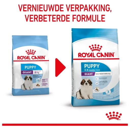 Royal Canin Giant Puppy 3.5 kg Voeding voor grote rassen