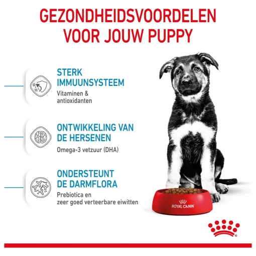 Royal Canin Maxi Puppy Hondenvoer 4 kg