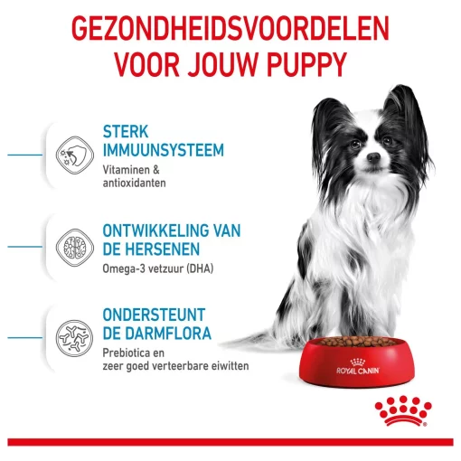 Royal Canin X-Small Hondenvoer 1.5 kg