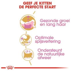 Royal Canin Persian Kitten Kattenvoer 4 kg - Speciaal voer voor Perzische kittens