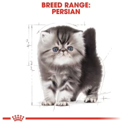 Royal Canin Persian Kitten Kattenvoer 4 kg - Speciaal voer voor Perzische kittens