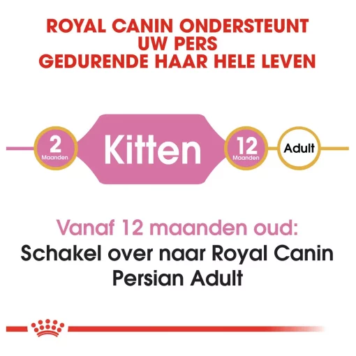 Royal Canin Persian Kitten Kattenvoer 4 kg - Speciaal voer voor Perzische kittens