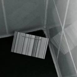 HG Zilvervisjesval 2 stuks