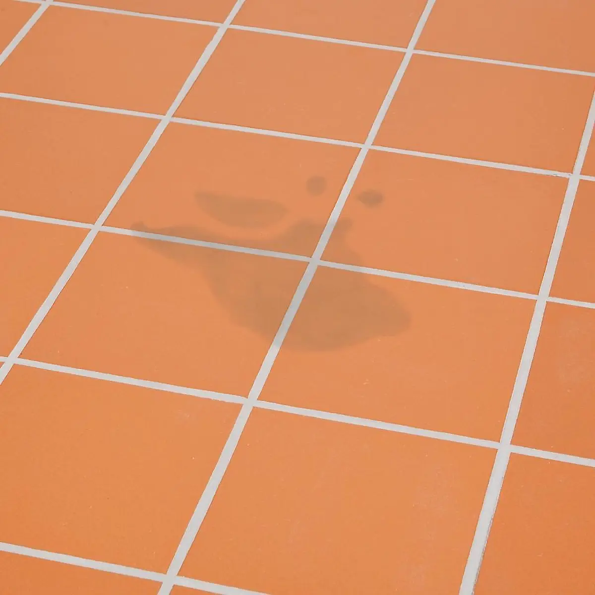 HG Tegel Vlekverwijderaar 6x500ml Sterk tegen vet en olie 6 HG tegel vlekverwijderaar 500ml Voor vet en olie op vloeren #21