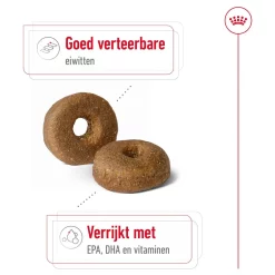 Royal Canin Maxi Ageing 8 Plus Hondenvoer 3kg Voor Senior Honden