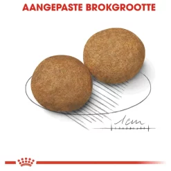 royal-canin-medium-adult-4kg-hondenbrokken