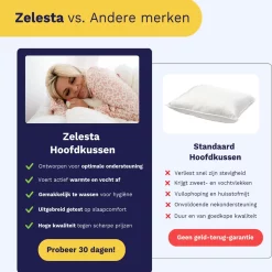 Zelesta Wonderpillow 60x70cm 15
