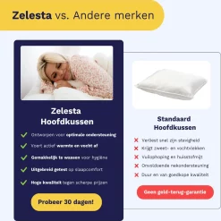 Zelesta Wonderpillow Royal Wit 80x80cm 17