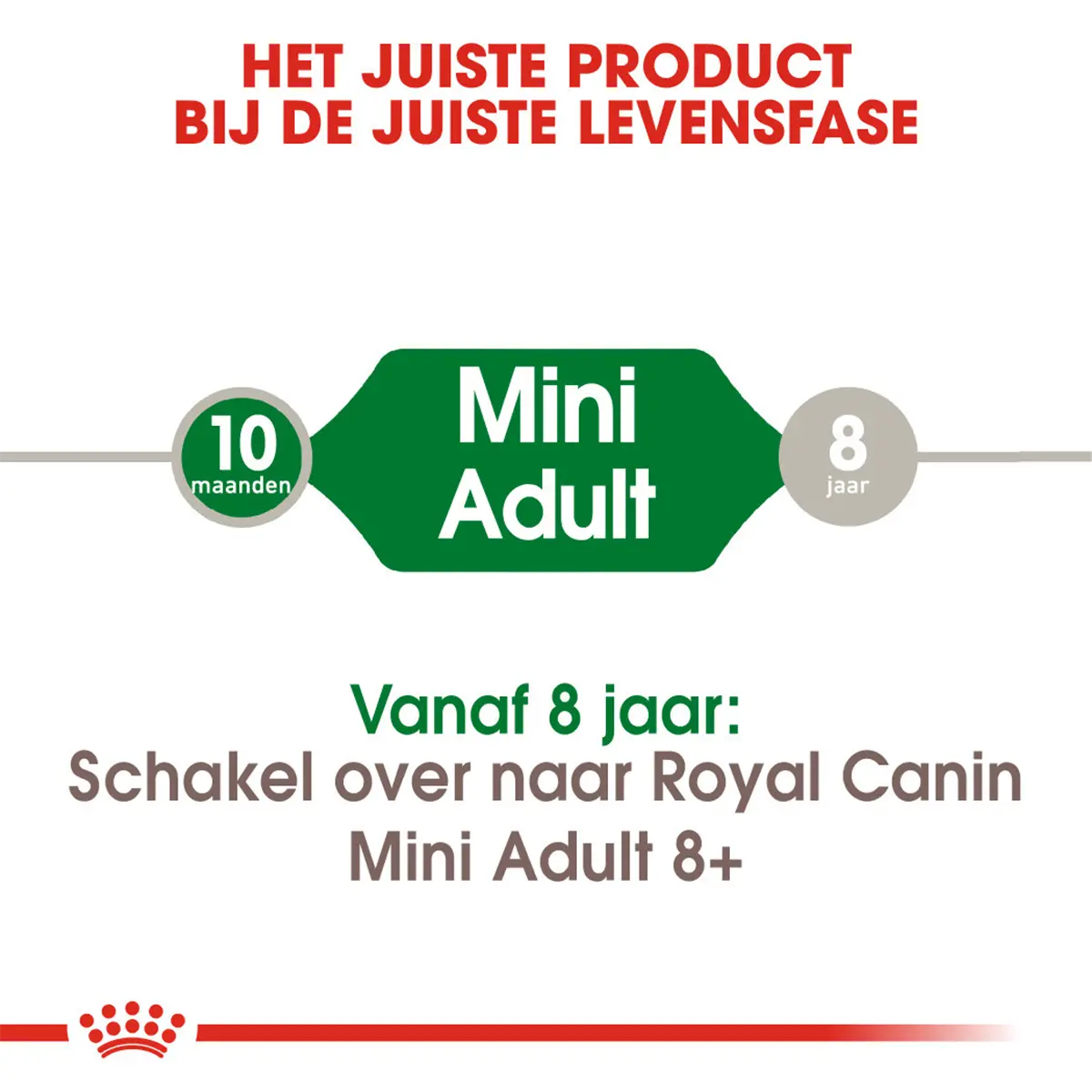 Royal Canin Mini Adult Hondenvoer 6x2kg (12kg) 6 Royal Canin Mini Adult Hondenvoer 6x2kg (12kg) - Afbeelding 4
