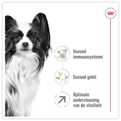Royal Canin X-Small Adult 8+ Premium hondenvoer voor kleine senioren 3kg 13