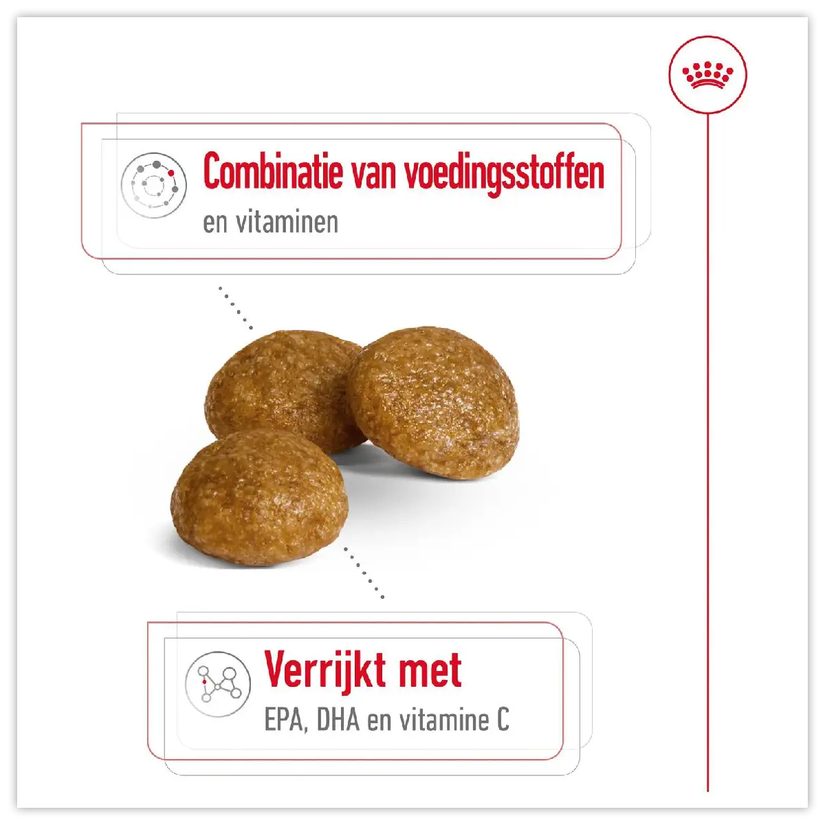 Royal Canin X-Small Adult 8+ Premium hondenvoer voor kleine senioren 3kg 7 Royal Canin X-Small Adult 8+ Premium hondenvoer voor kleine senioren 3kg - Afbeelding 5