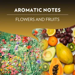 Lavazza Lungo Arabica