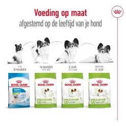 Royal Canin X-Small Adult 3kg De beste dagelijkse voeding voor mini-honden