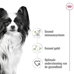 Royal Canin X-Small Adult 3kg De beste dagelijkse voeding voor mini-honden