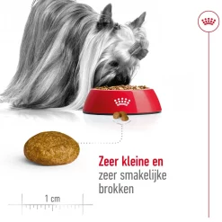 Royal Canin X-Small Adult 3kg De beste dagelijkse voeding voor mini-honden