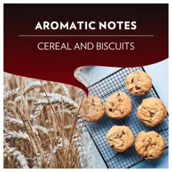 Lavazza Espresso Classico Koffiecups 100x Arabica Nespresso | Intensiteit 9/13