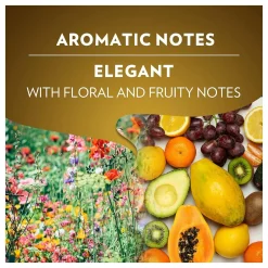 Lavazza Qualità Oro Koffiecups 100 Nespresso Arabica | Intensiteit 8/13