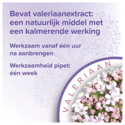 Beaphar No Stress Spot On Kat