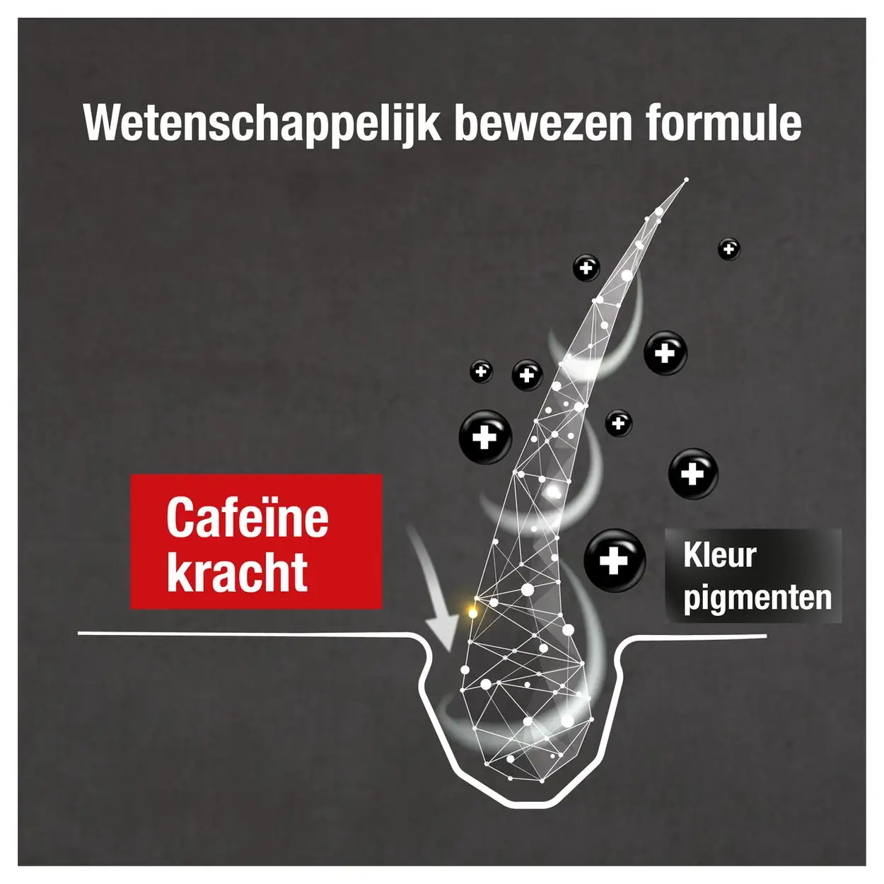 Alpecin Grey Attack Cafeïne en Kleur Shampoo 200ml 7 Alpecin Grey Attack Cafeïne en Kleur Shampoo